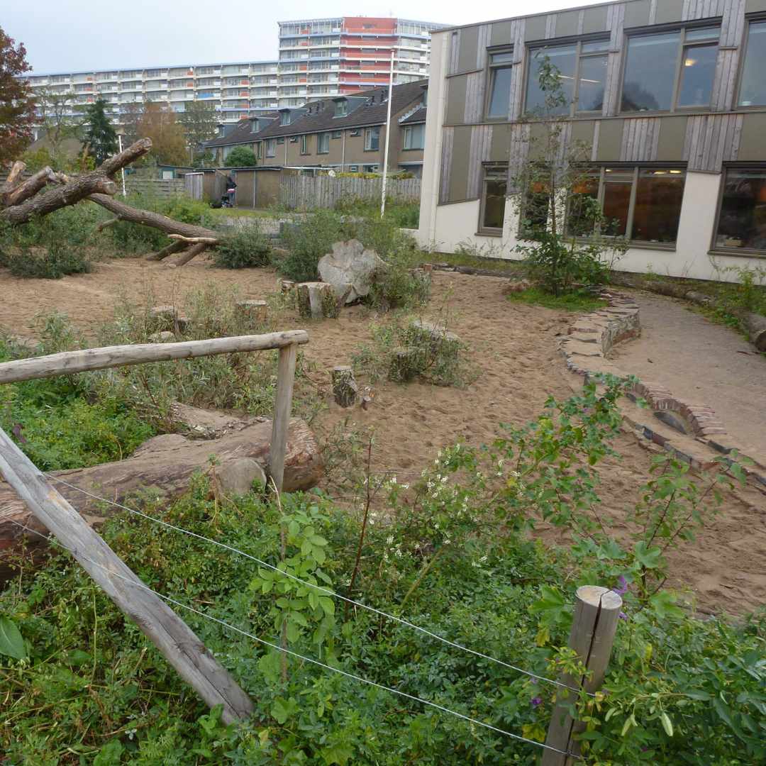 Vuurvogel 2 zoetermeer | zo naar de basisschool